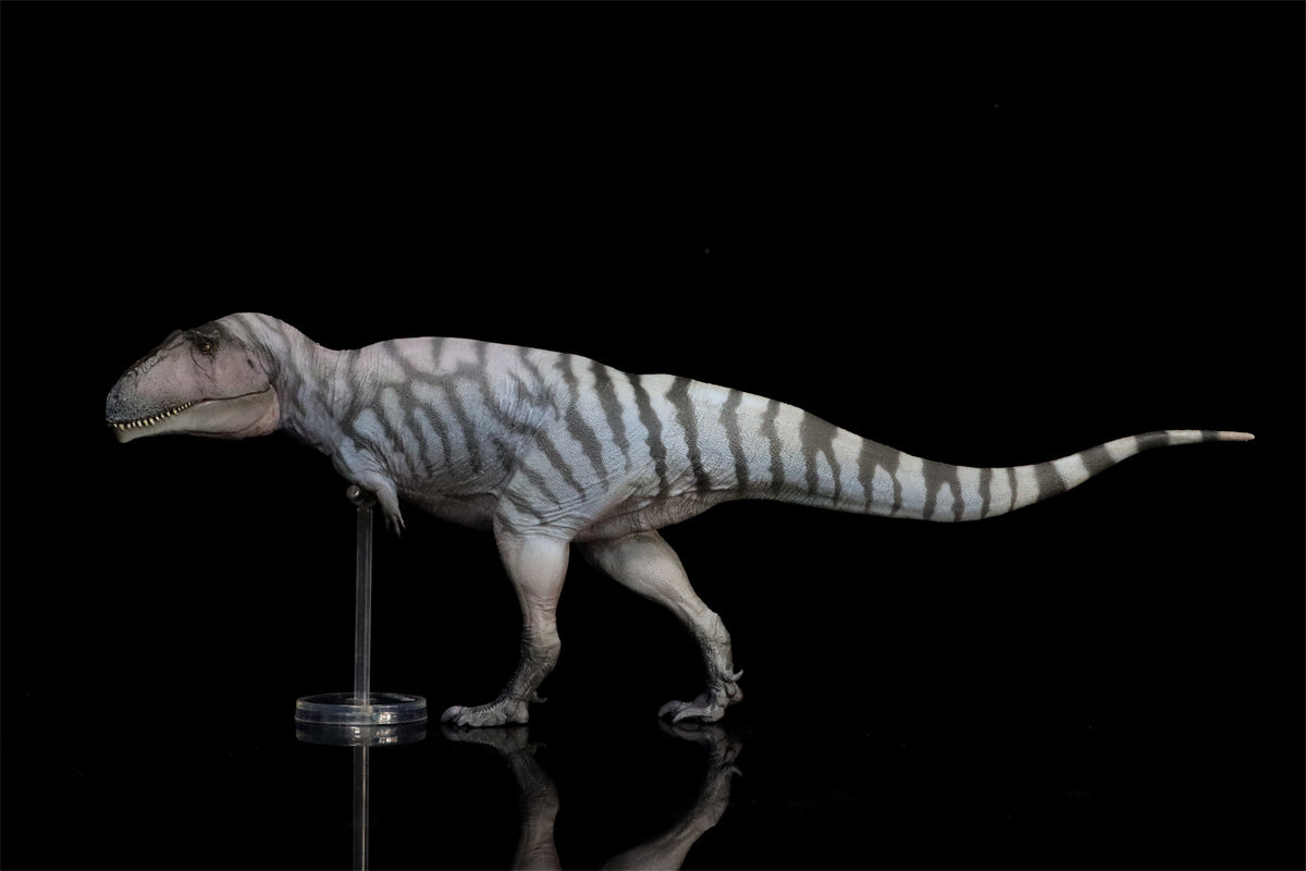 PNSO Meraxes Mungo Model