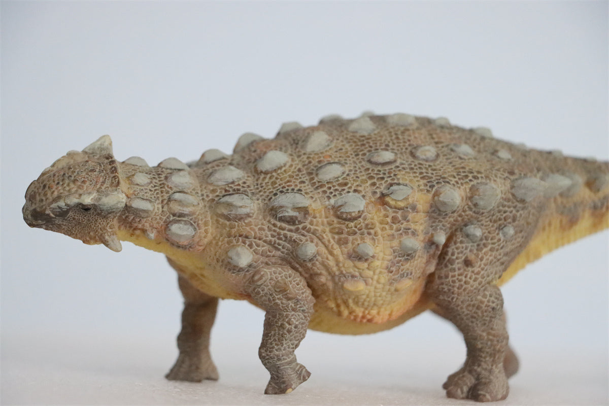 PNSO Ankylosaurus Model