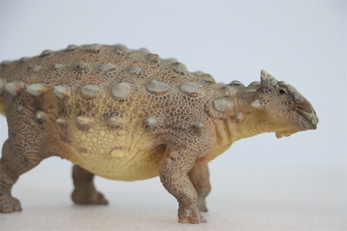 PNSO Ankylosaurus Model