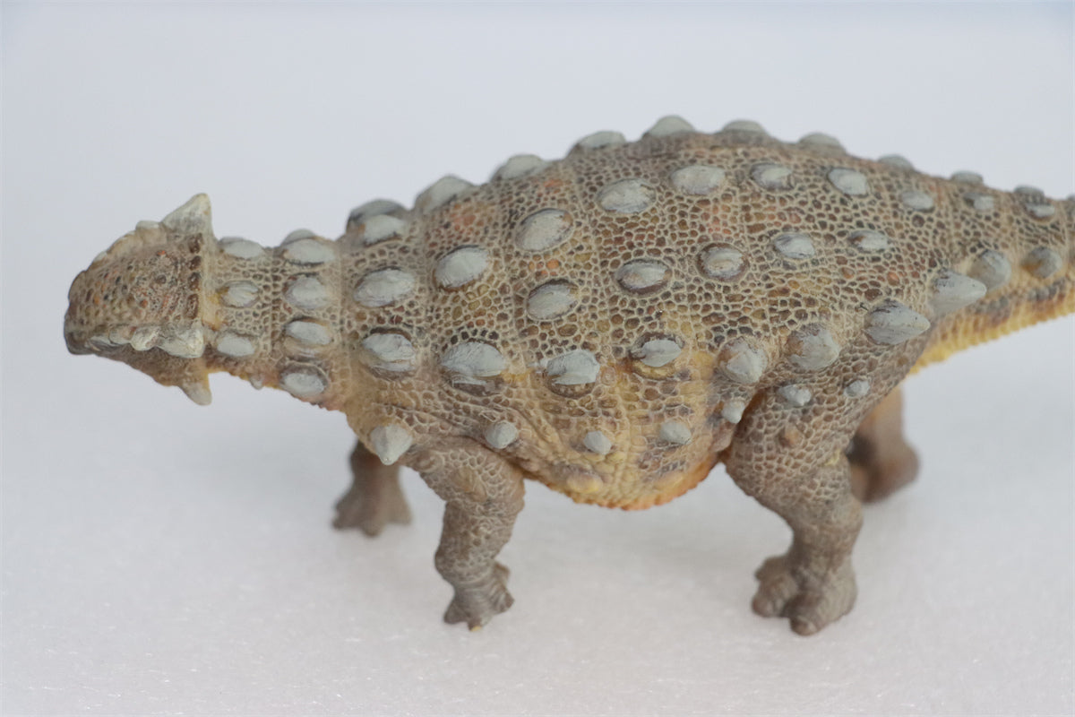 PNSO Ankylosaurus Model