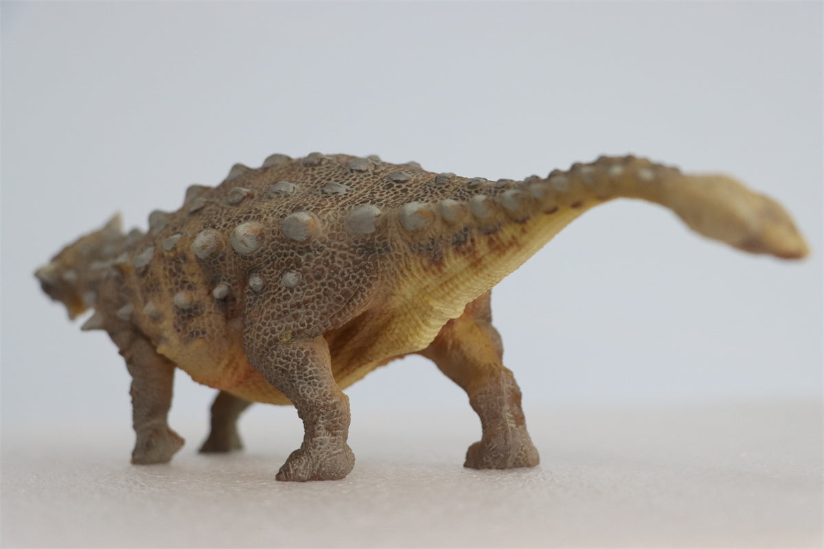 PNSO Ankylosaurus Model