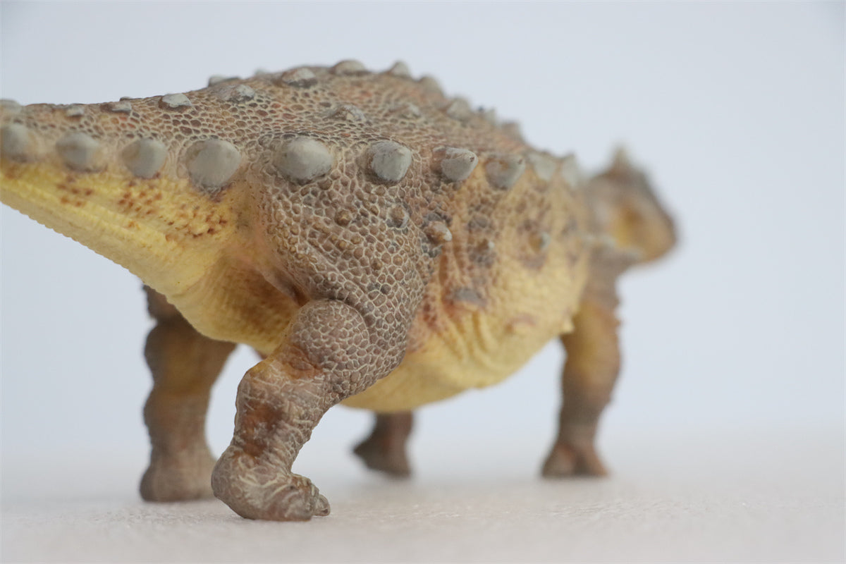 PNSO Ankylosaurus Model