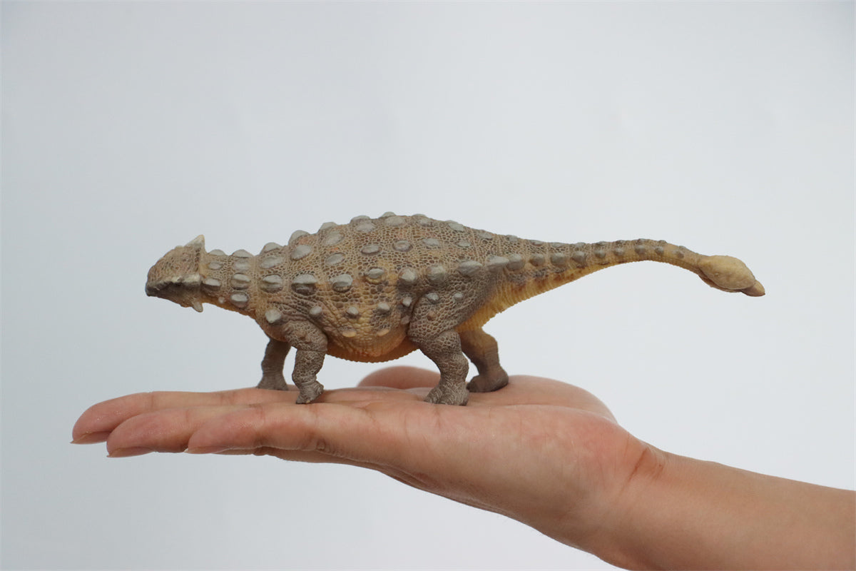 PNSO Ankylosaurus Model