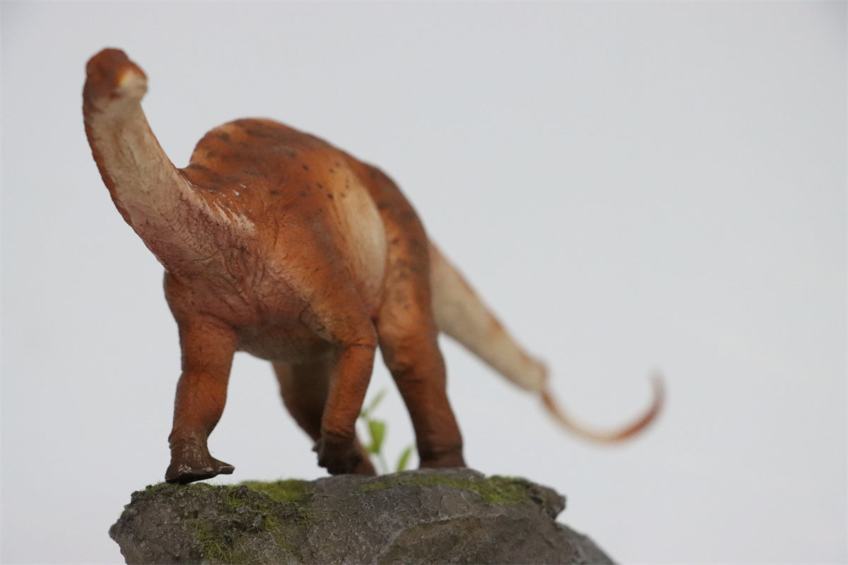 HAOLONGGOOD 1:35 Scale Dicraeosaurus Model