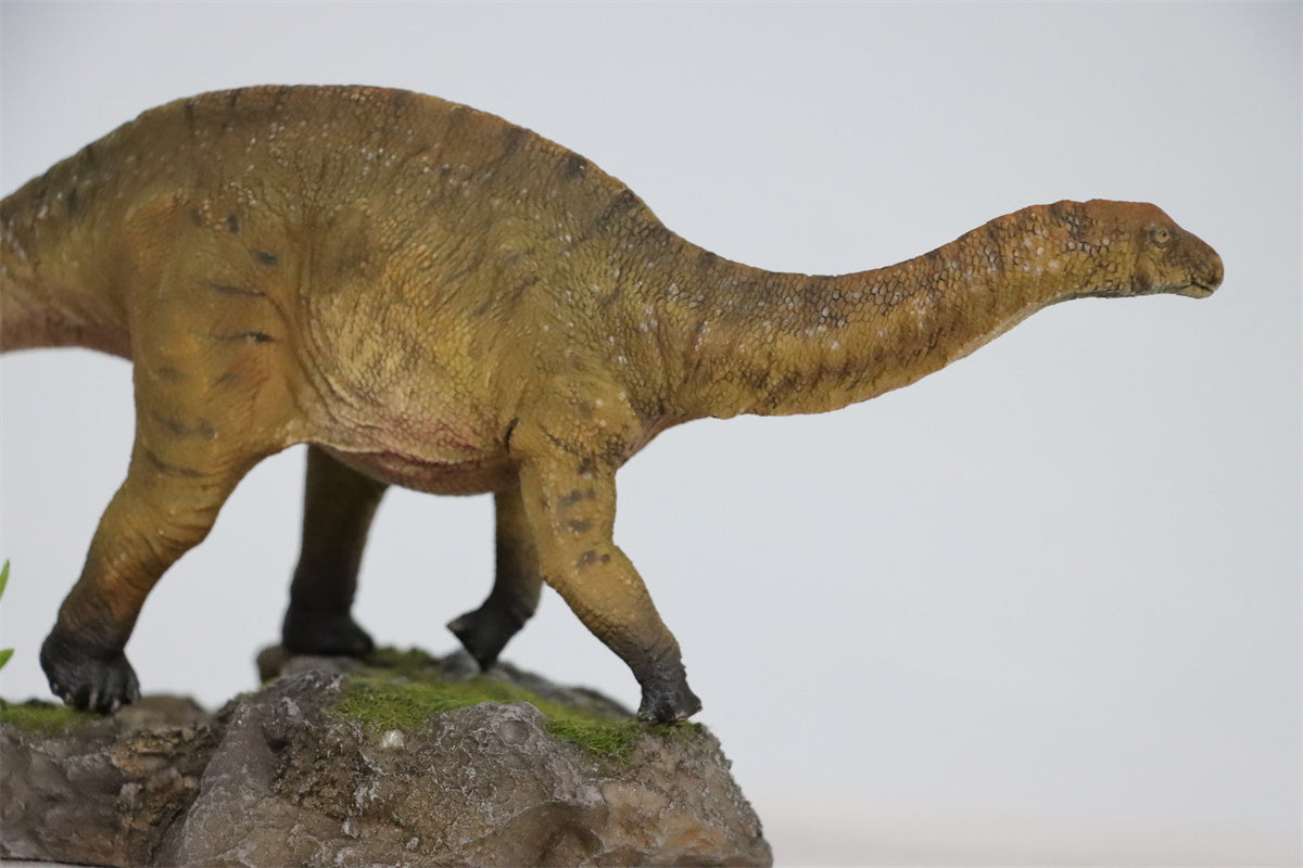 HAOLONGGOOD 1:35 Scale Dicraeosaurus Model