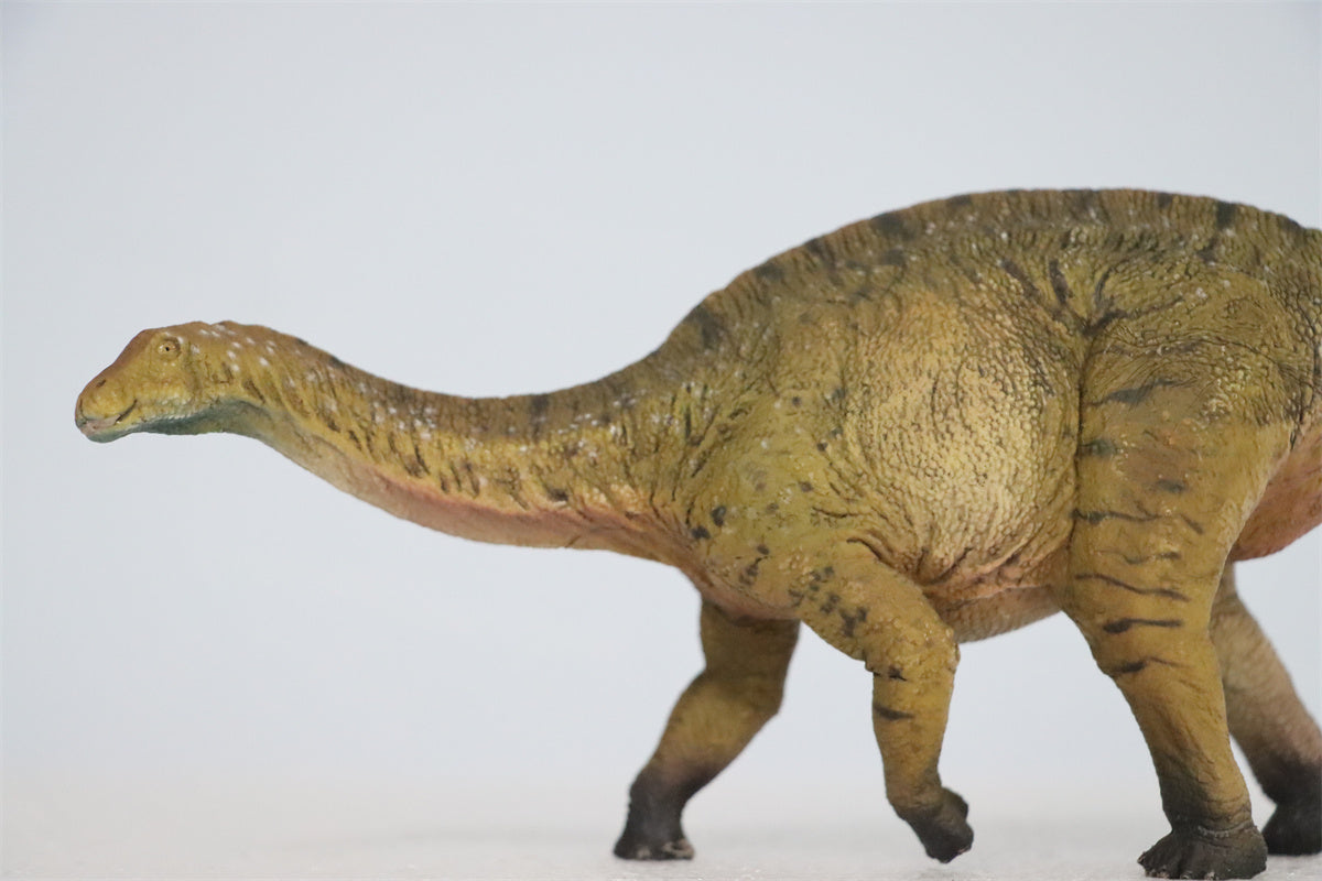 HAOLONGGOOD 1:35 Scale Dicraeosaurus Model