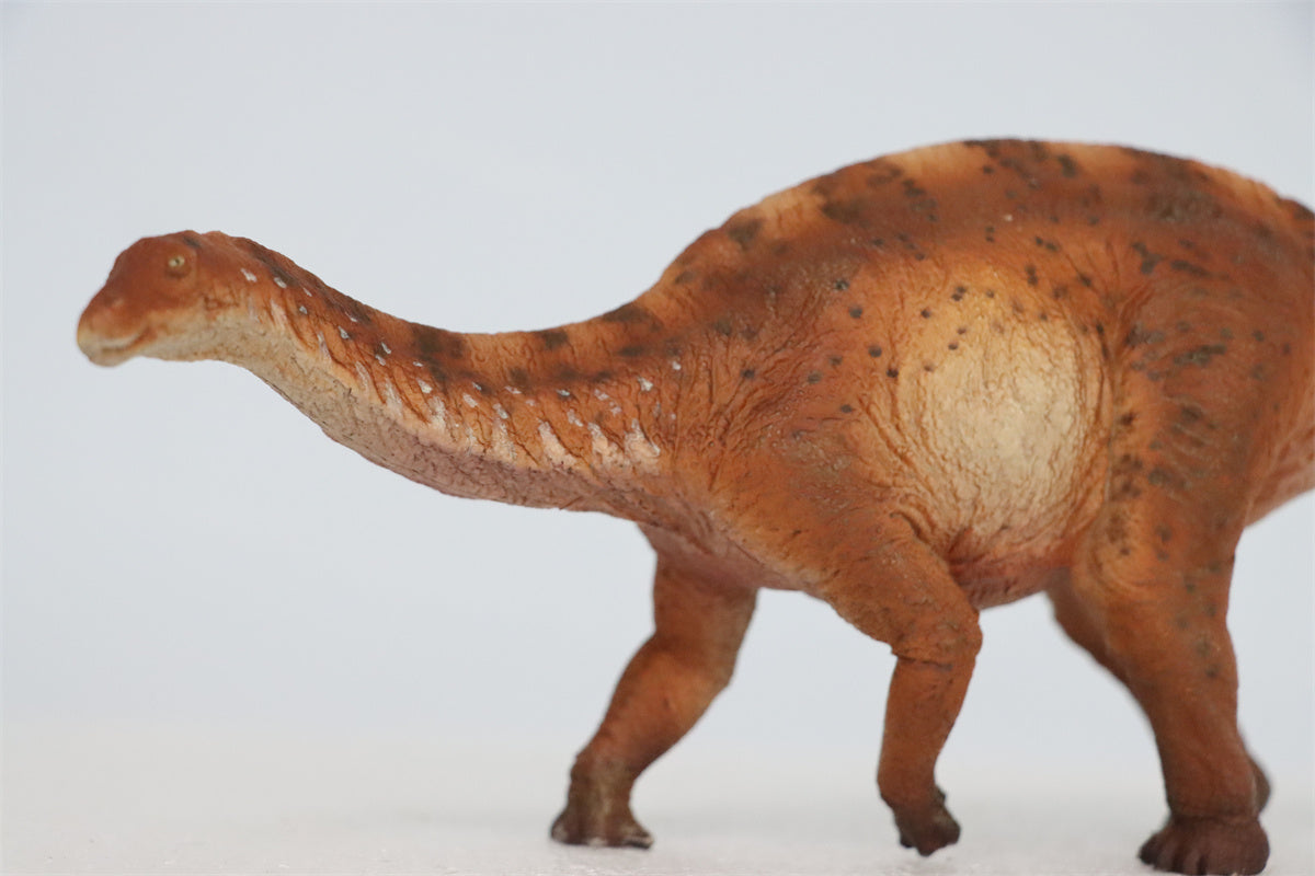 HAOLONGGOOD 1:35 Scale Dicraeosaurus Model