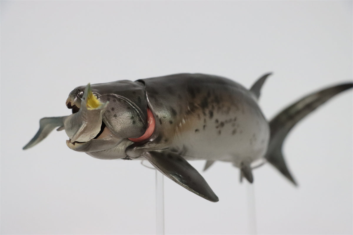 PNSO Dunkleosteus Zaha Model