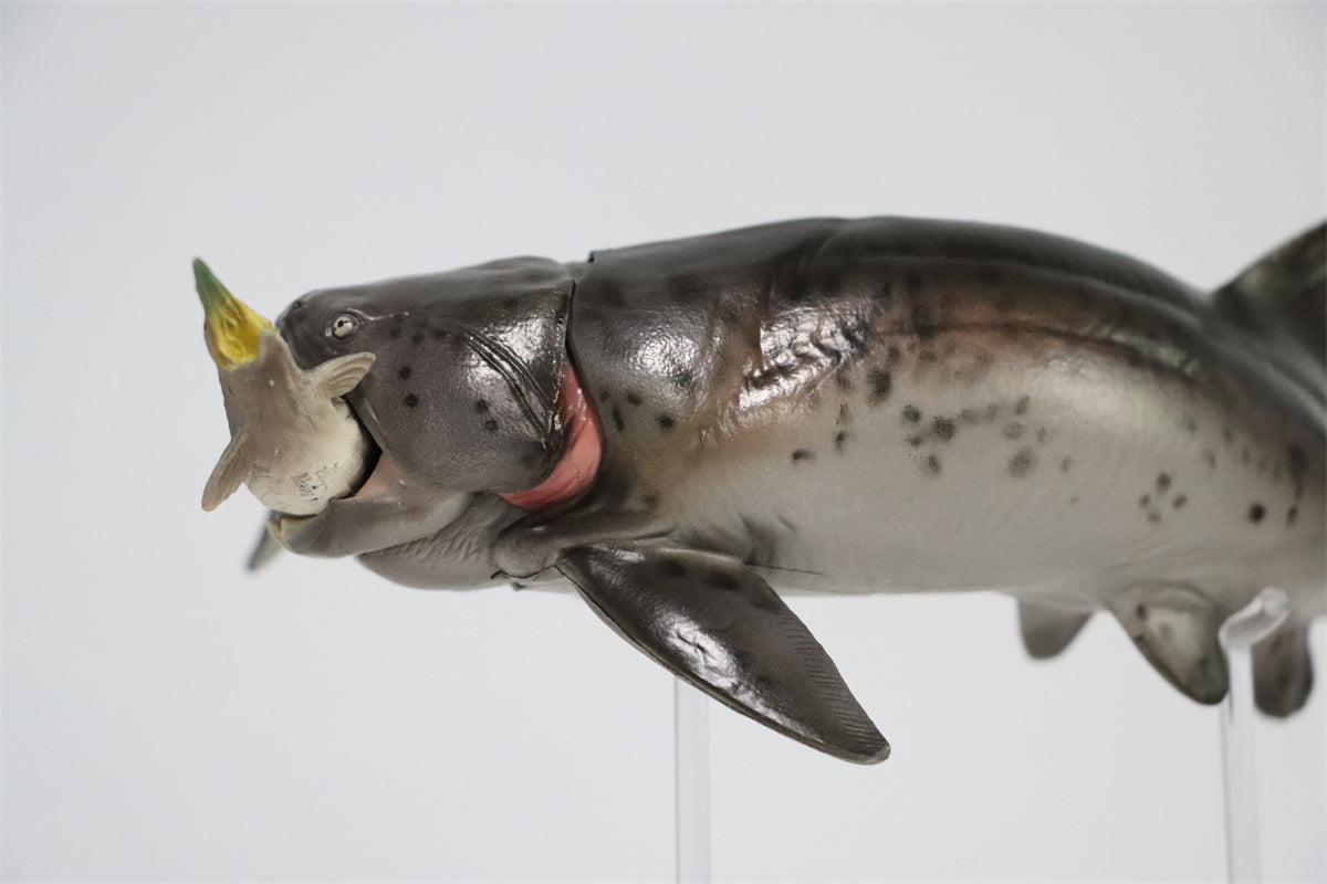PNSO Dunkleosteus Zaha Model