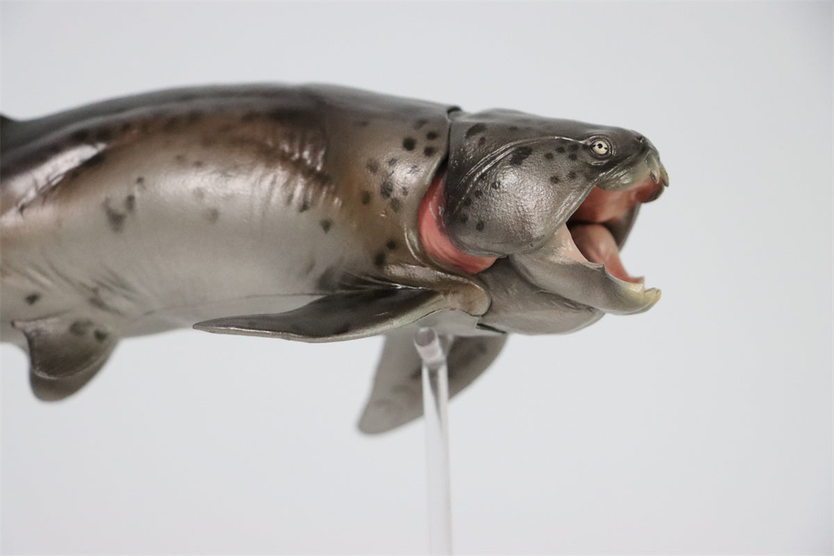 PNSO Dunkleosteus Zaha Model