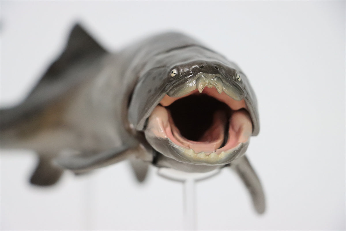 PNSO Dunkleosteus Zaha Model