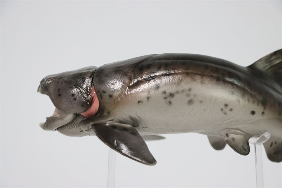 PNSO Dunkleosteus Zaha Model