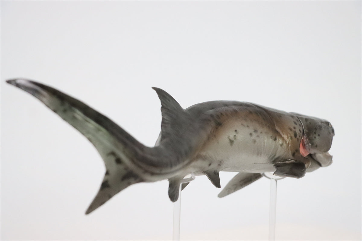 PNSO Dunkleosteus Zaha Model