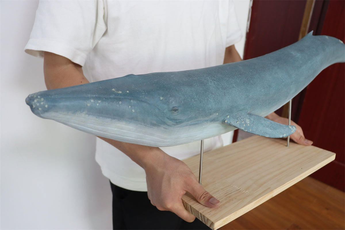 1/35 Blue Whale Statue