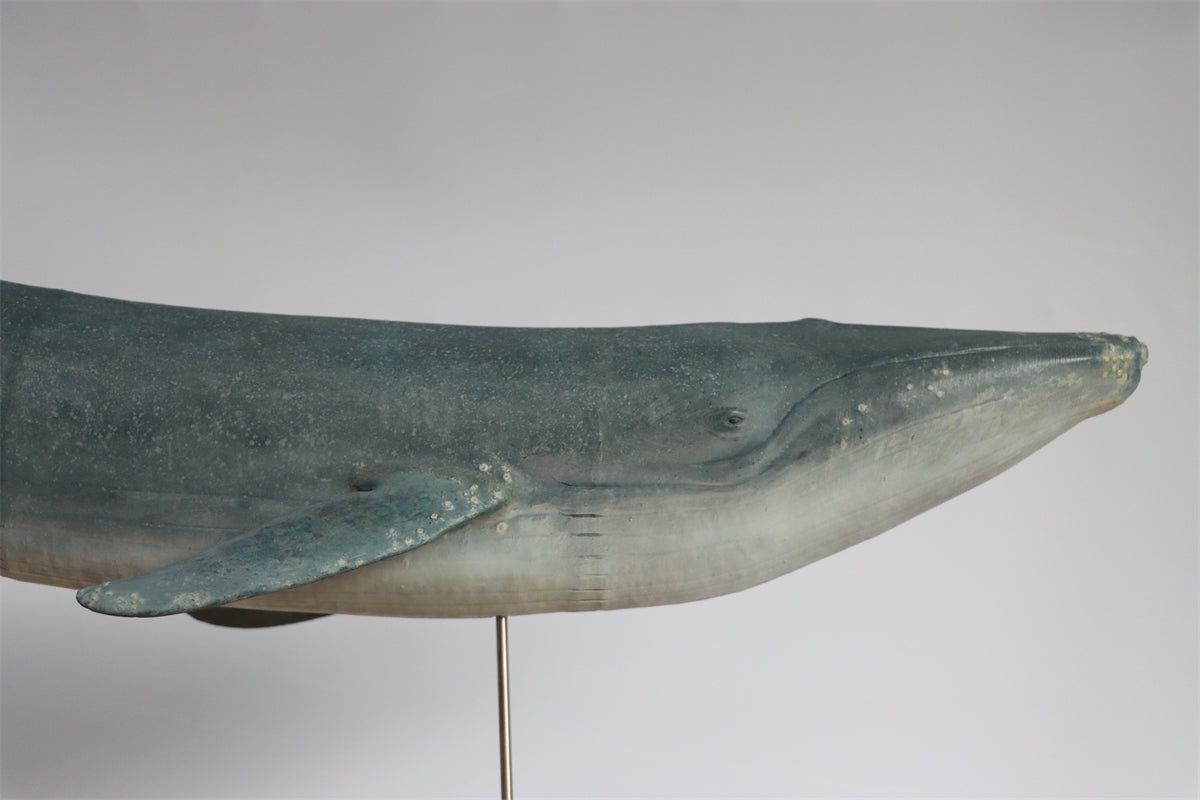 1/35 Blue Whale Statue