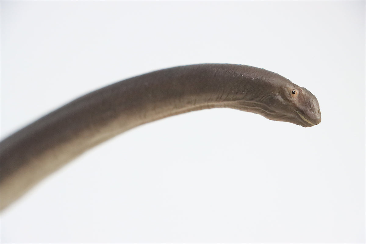 PNSO 1:45 Mamenchisaurus ER-MA Model