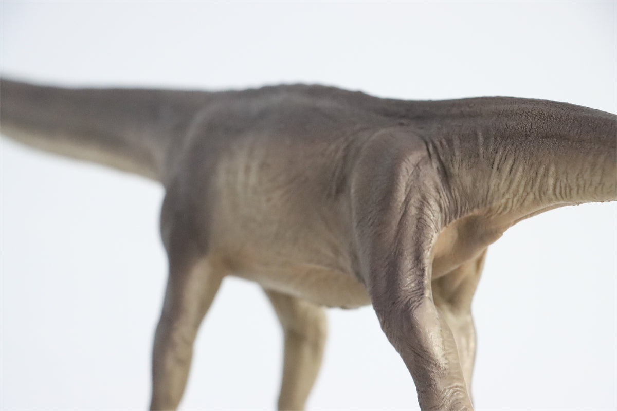 PNSO 1:45 Mamenchisaurus ER-MA Model