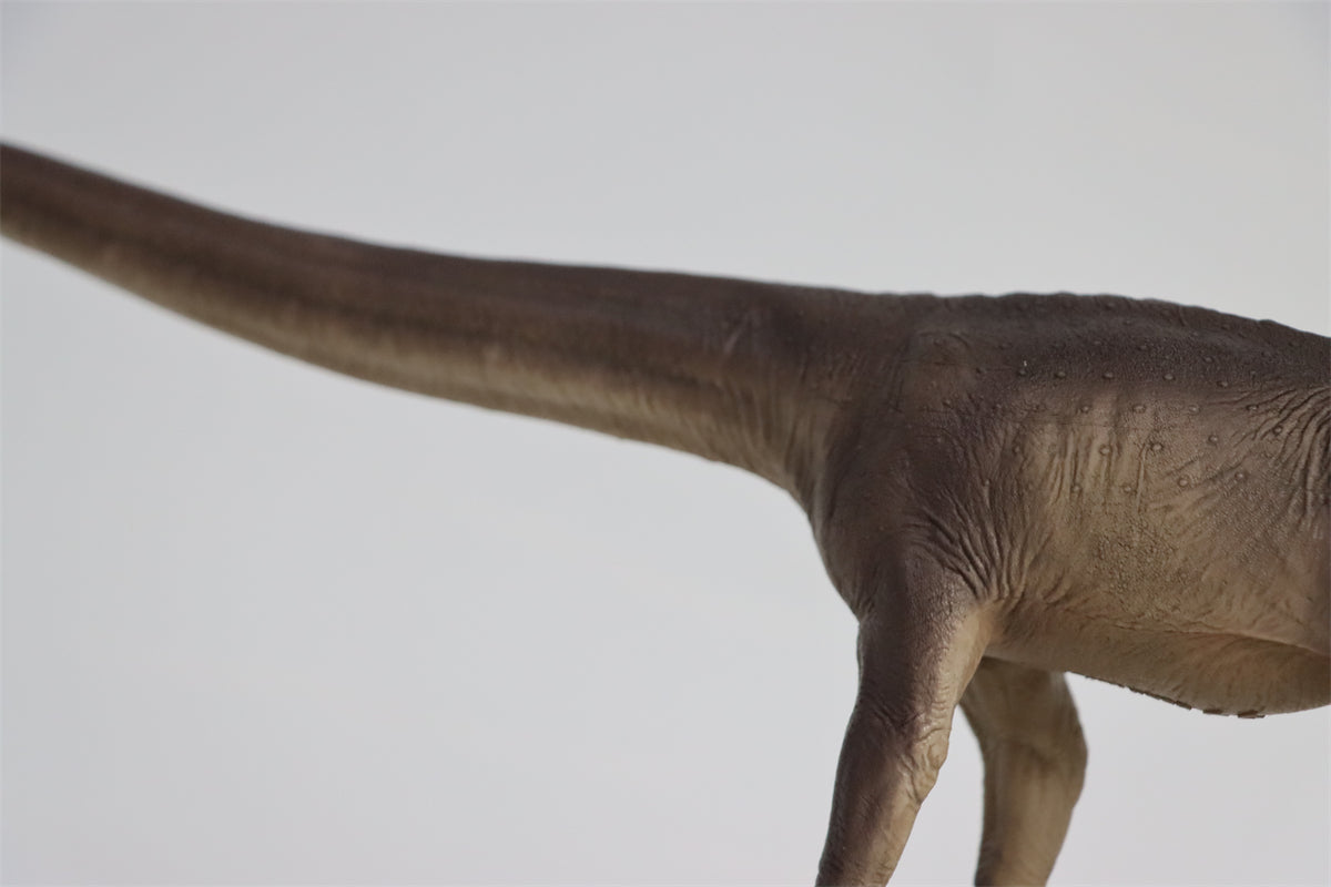 PNSO 1:45 Mamenchisaurus ER-MA Model