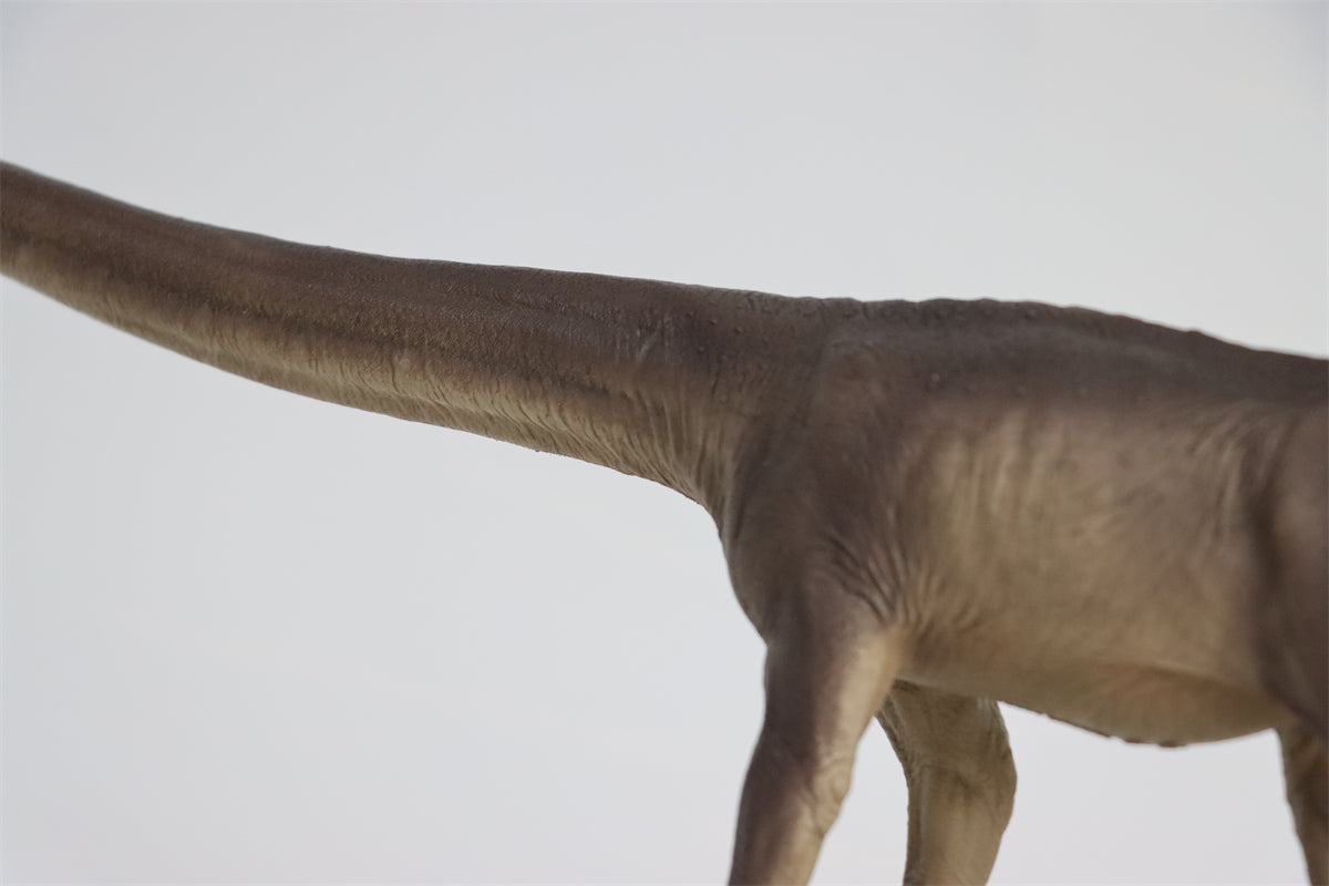 PNSO 1:45 Mamenchisaurus ER-MA Model