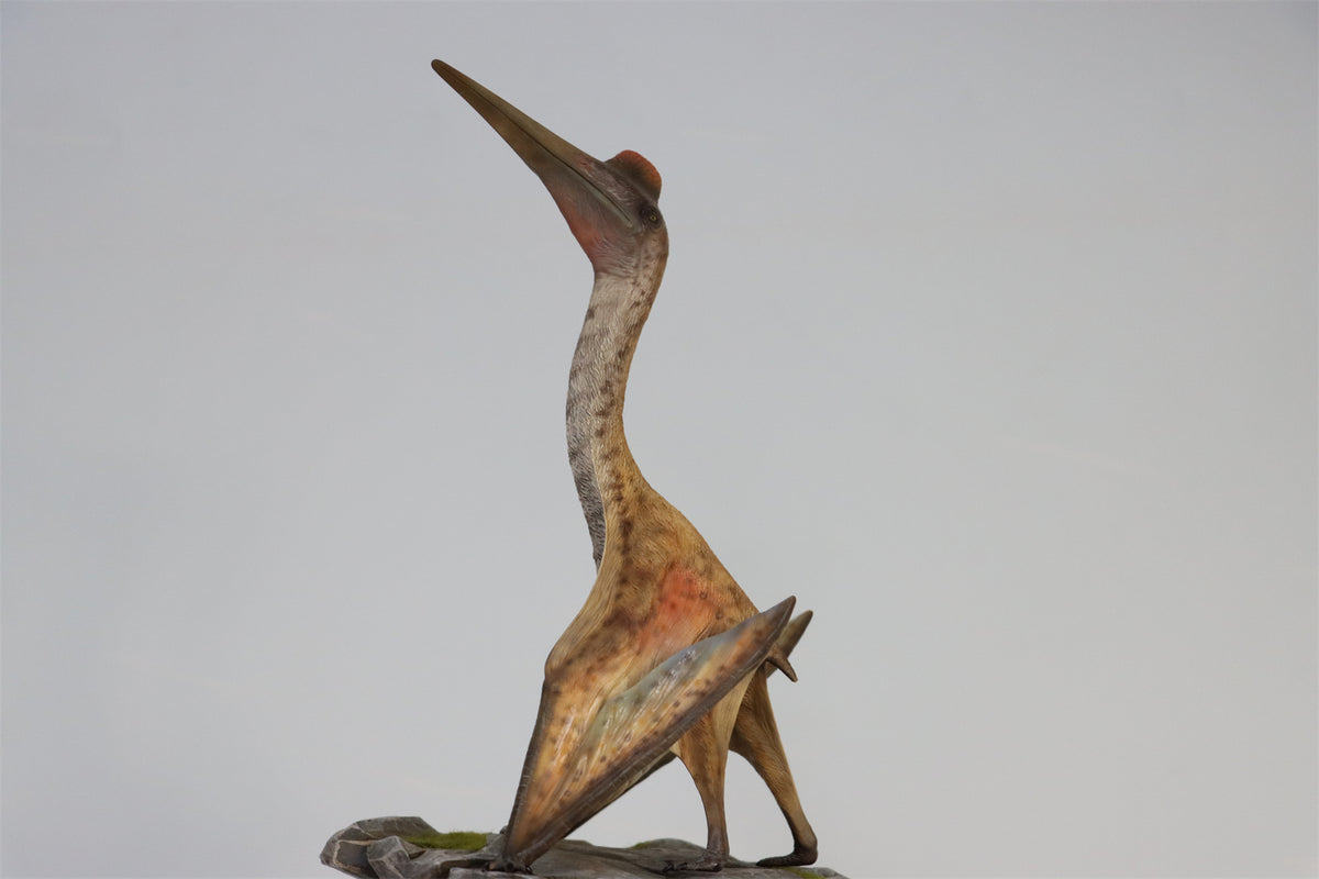 MuSee 1/35 Quetzalcoatlus Statue Lana Time Shop