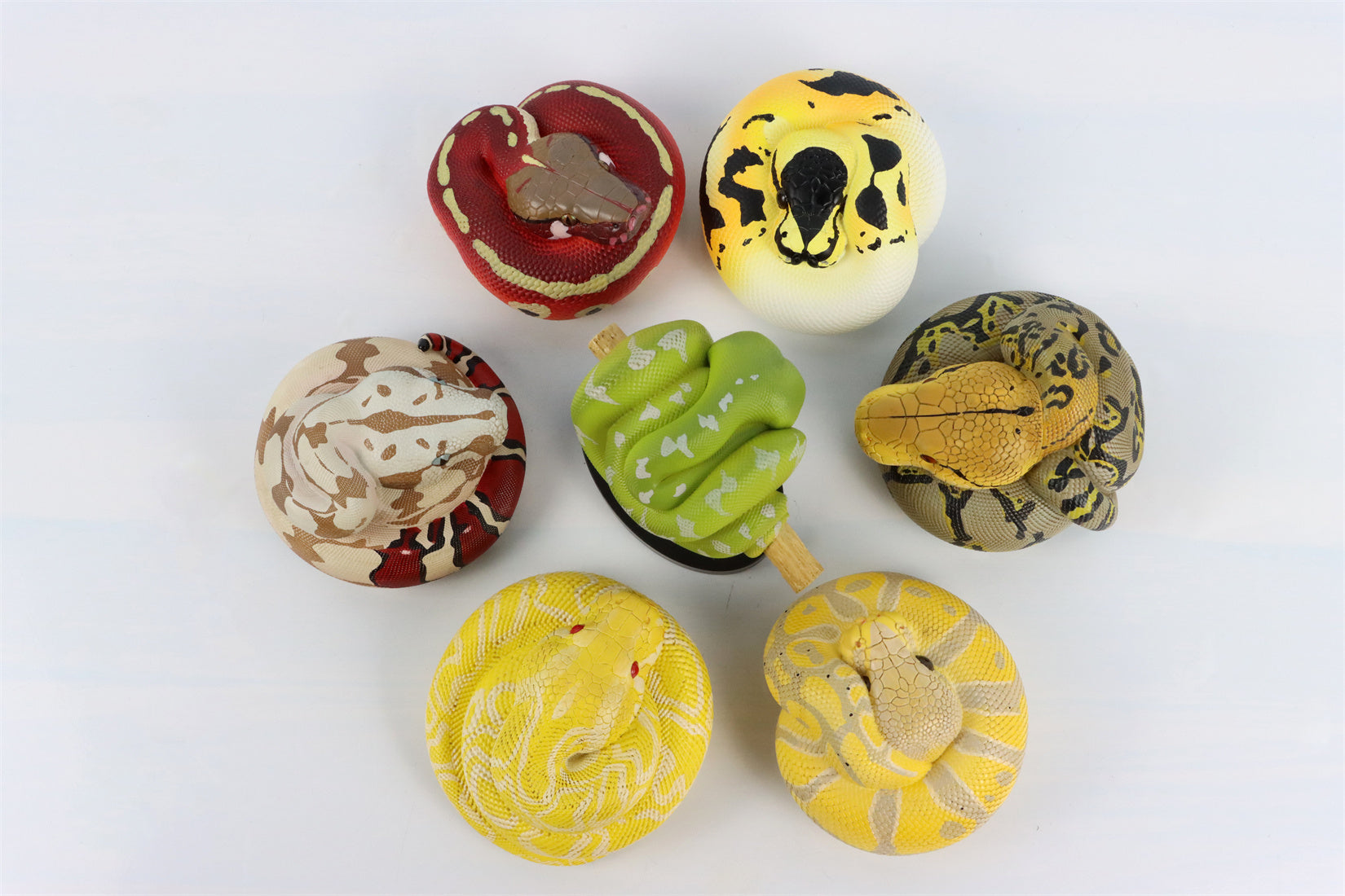 Animal Planet 09 Snake 2.0 Blind Box Model