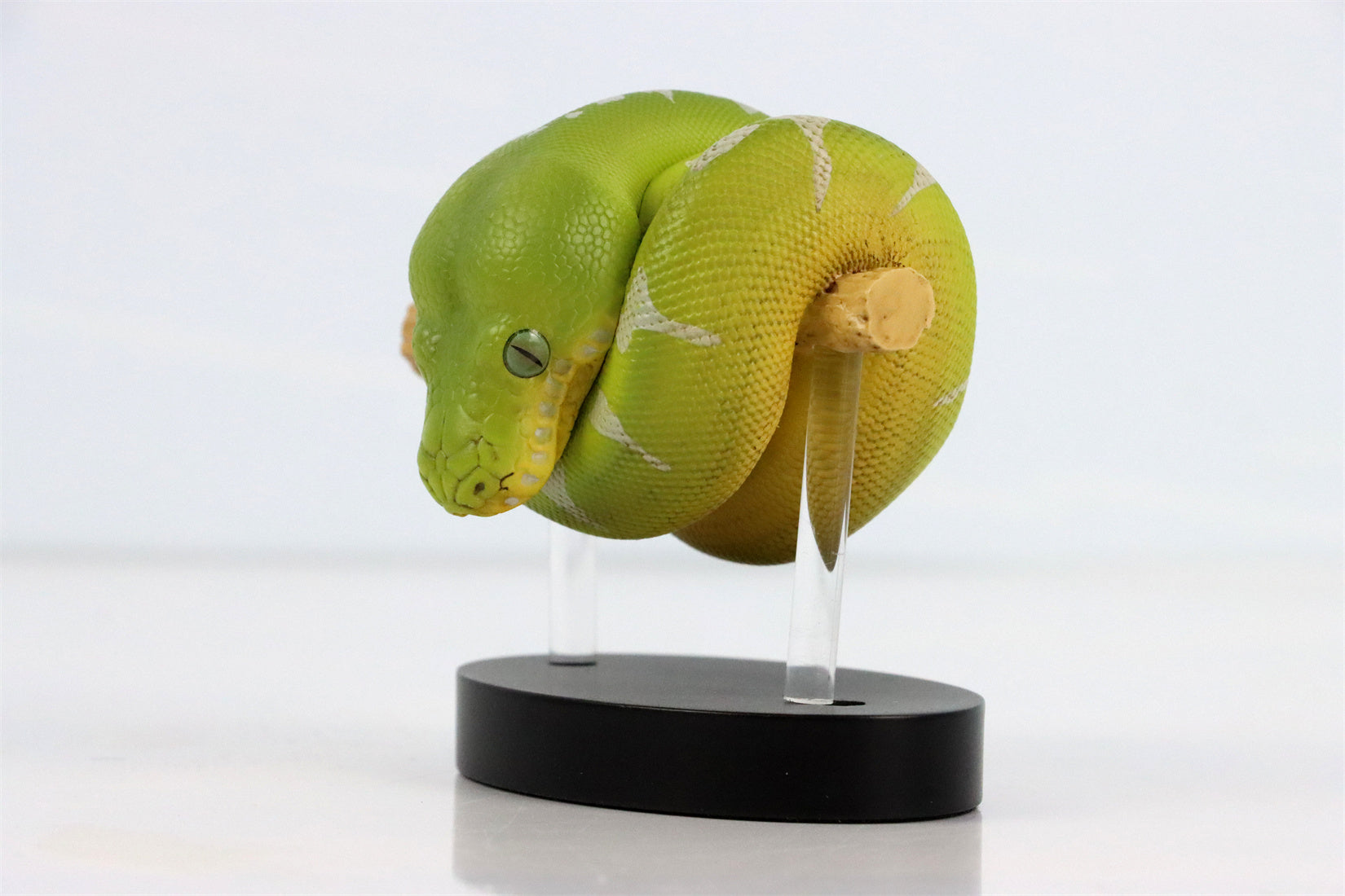 Animal Planet 09 Snake 2.0 Blind Box Model