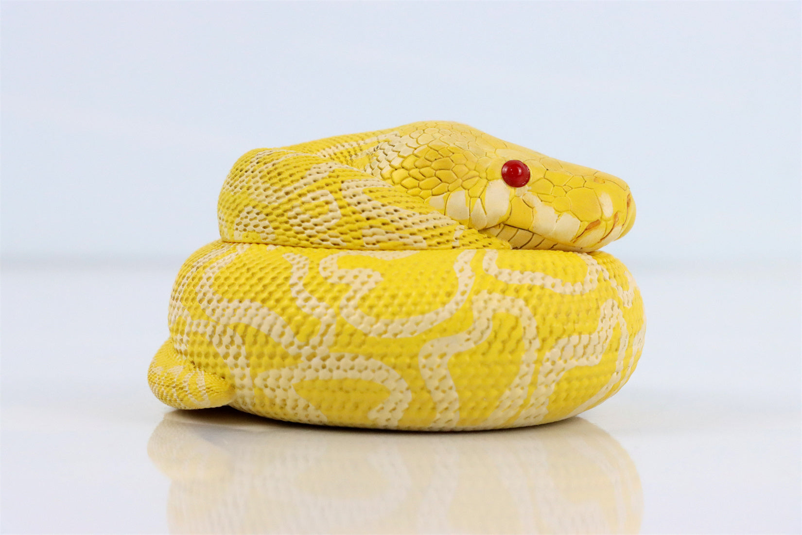 Animal Planet 09 Snake 2.0 Blind Box Model