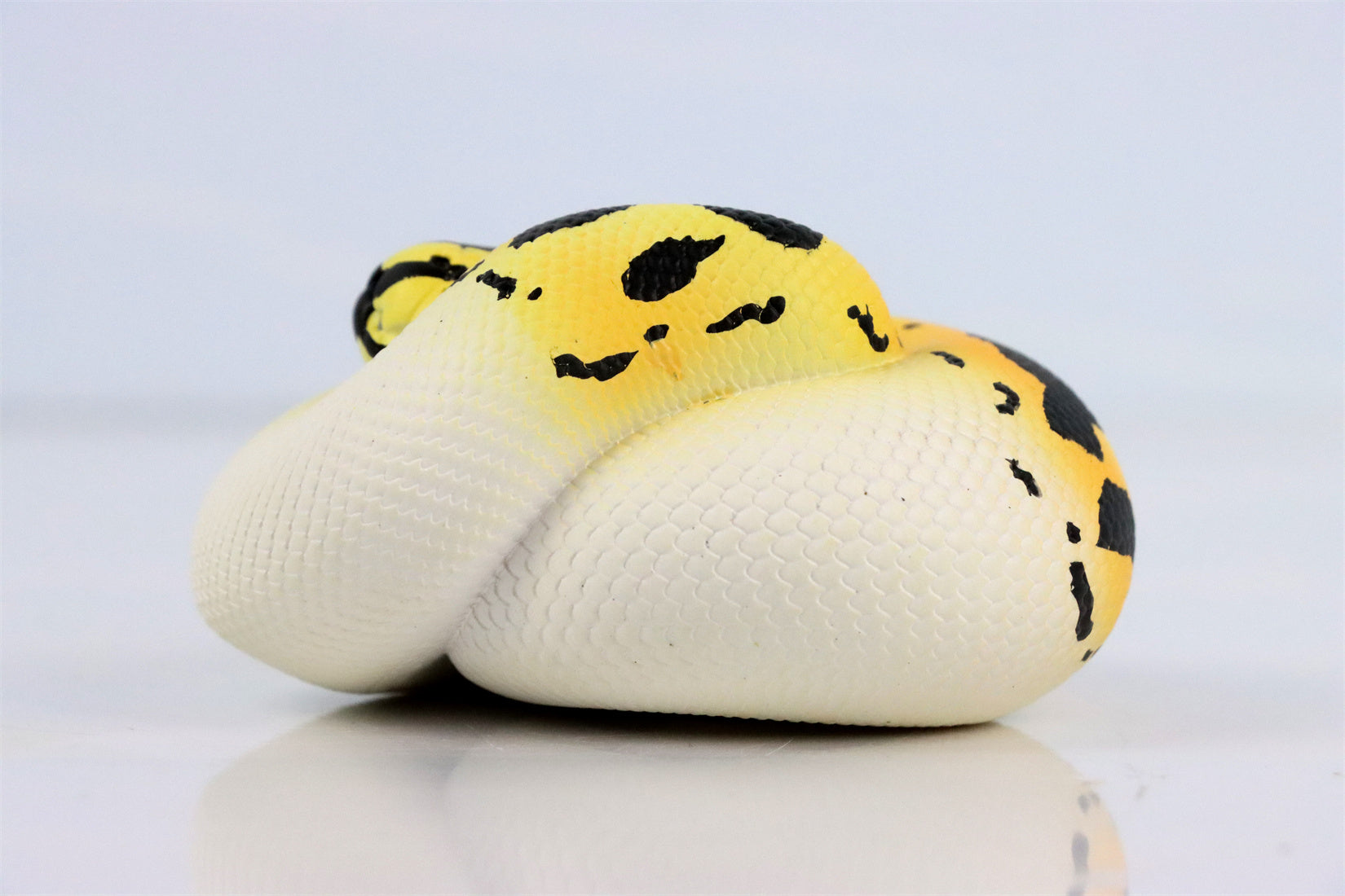 Animal Planet 09 Snake 2.0 Blind Box Model