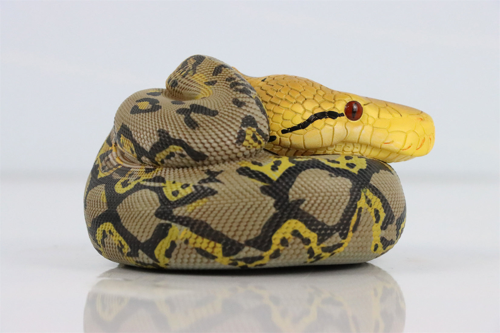 Animal Planet 09 Snake 2.0 Blind Box Model