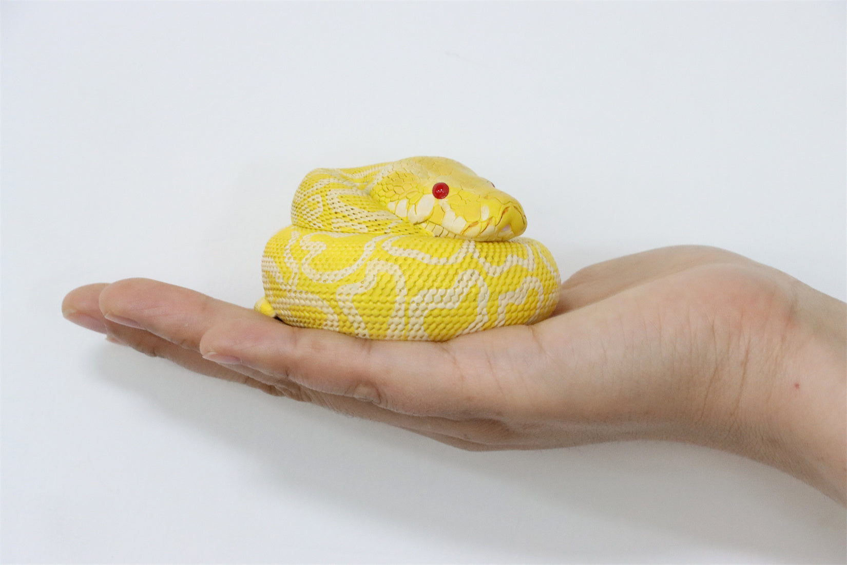 Animal Planet 09 Snake 2.0 Blind Box Model