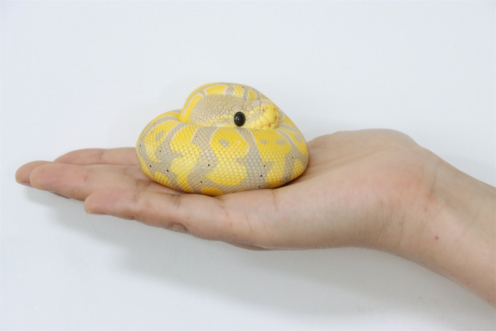 Animal Planet 09 Snake 2.0 Blind Box Model