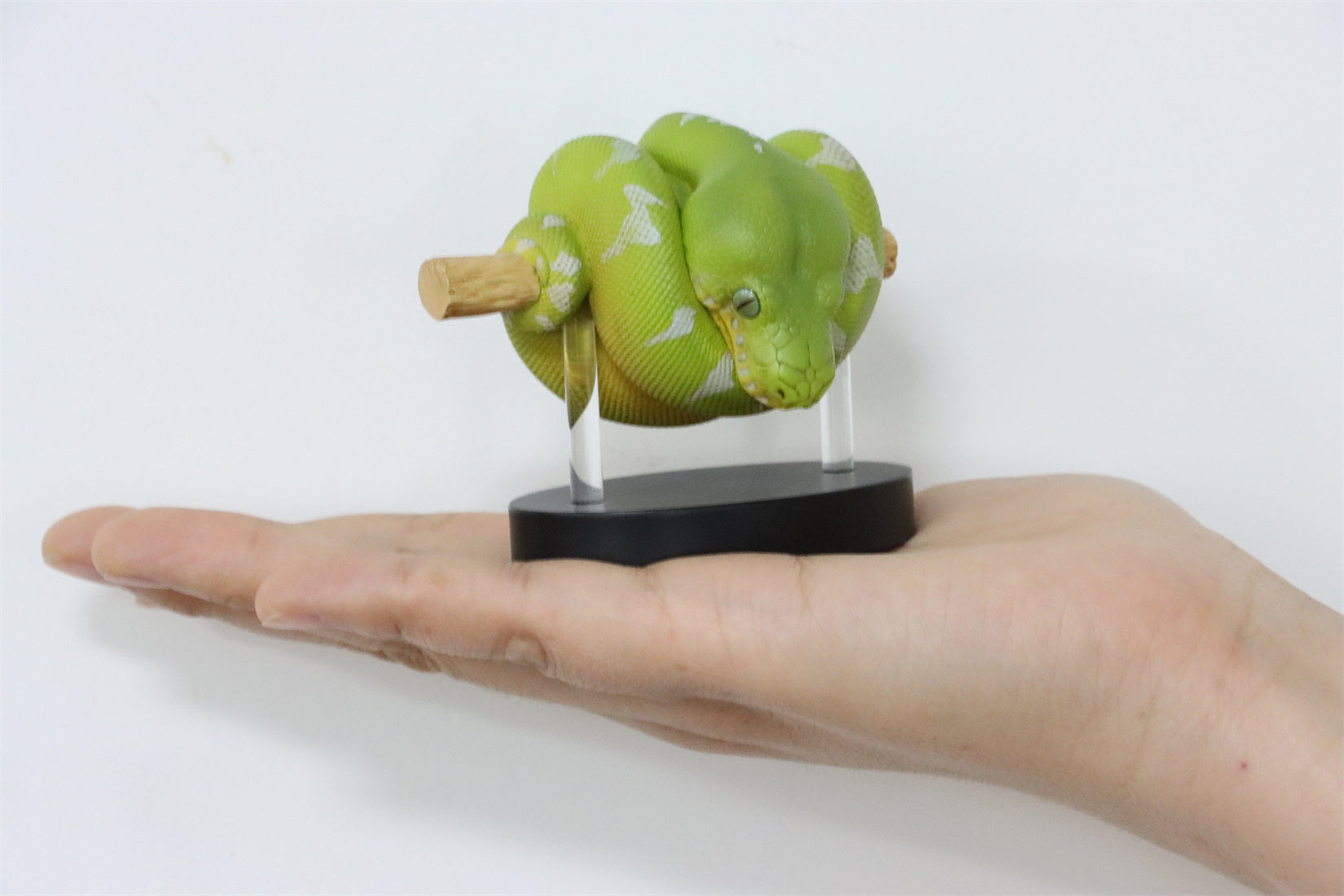 Animal Planet 09 Snake 2.0 Blind Box Model