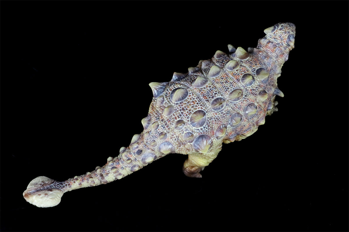 HAOLONGGOOD 1:35 Scale Tianzhenosaurus Model