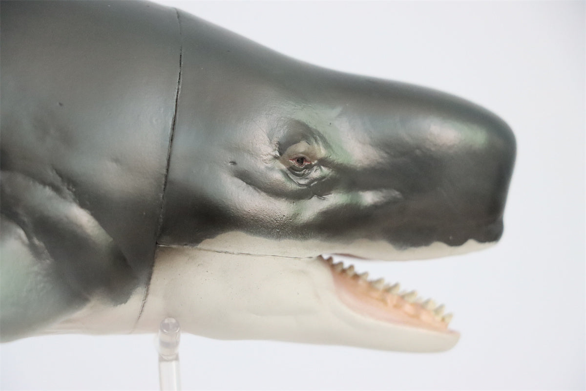 PNSO Livyatan Requena Model