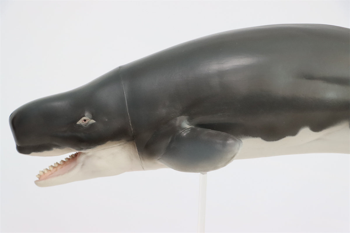 PNSO Livyatan Requena Model