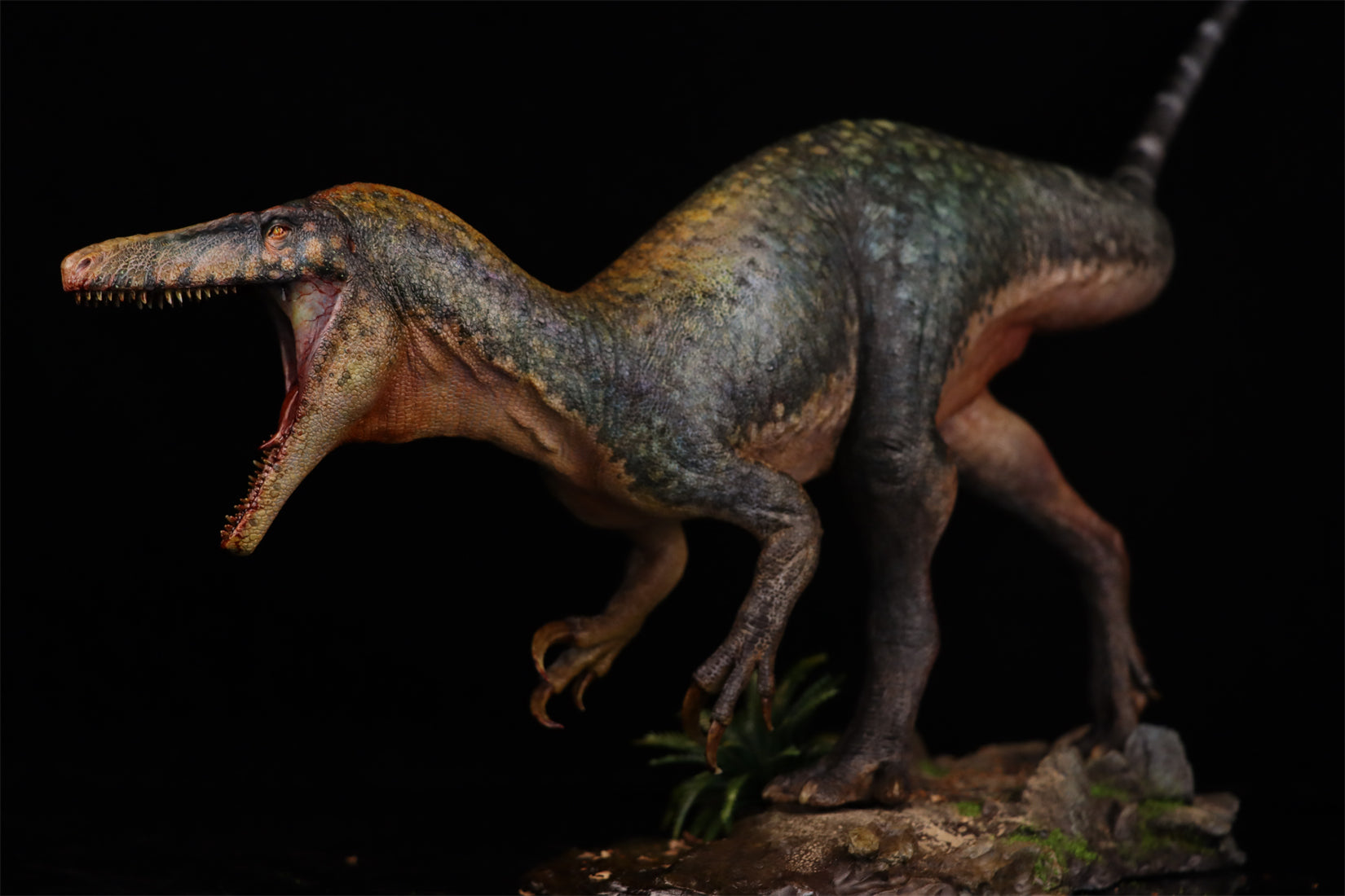 1:15 Scale Maip macrothorax Scene Model