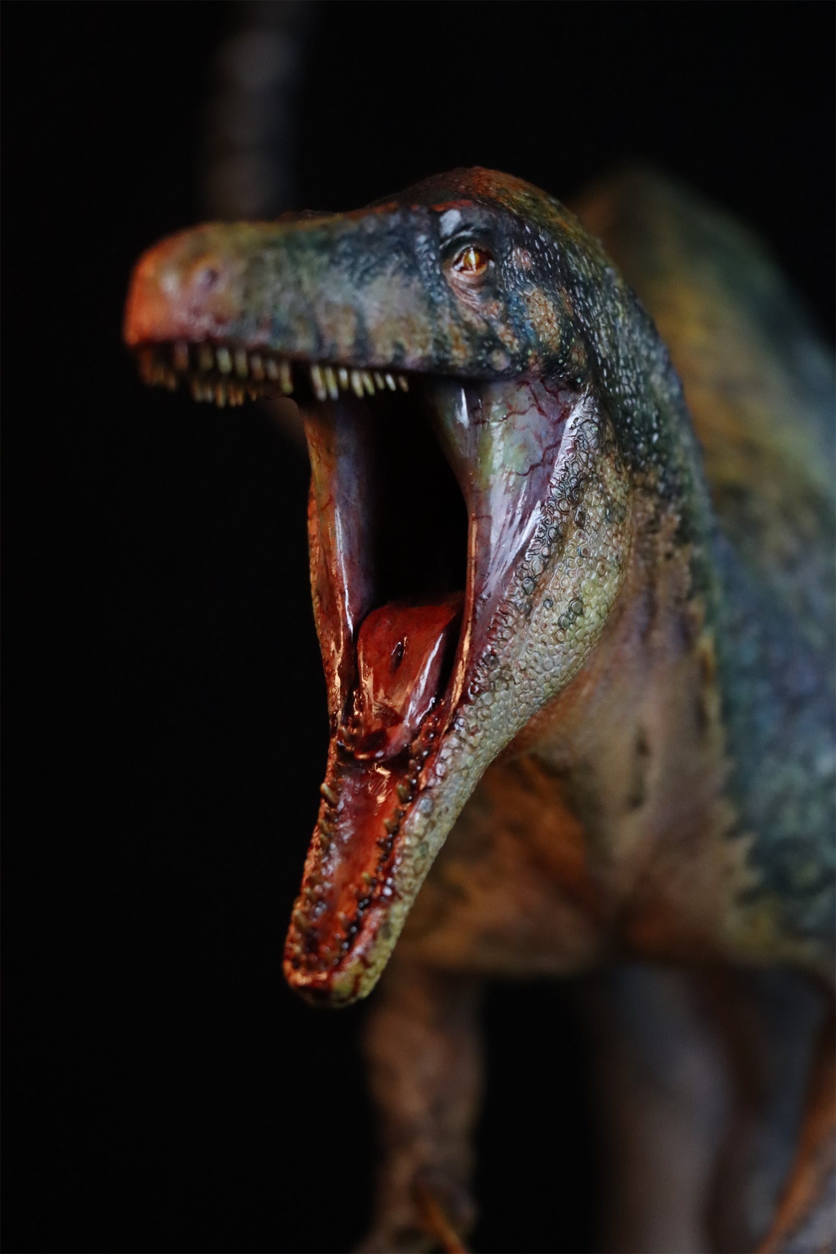 1:15 Scale Maip macrothorax Scene Model