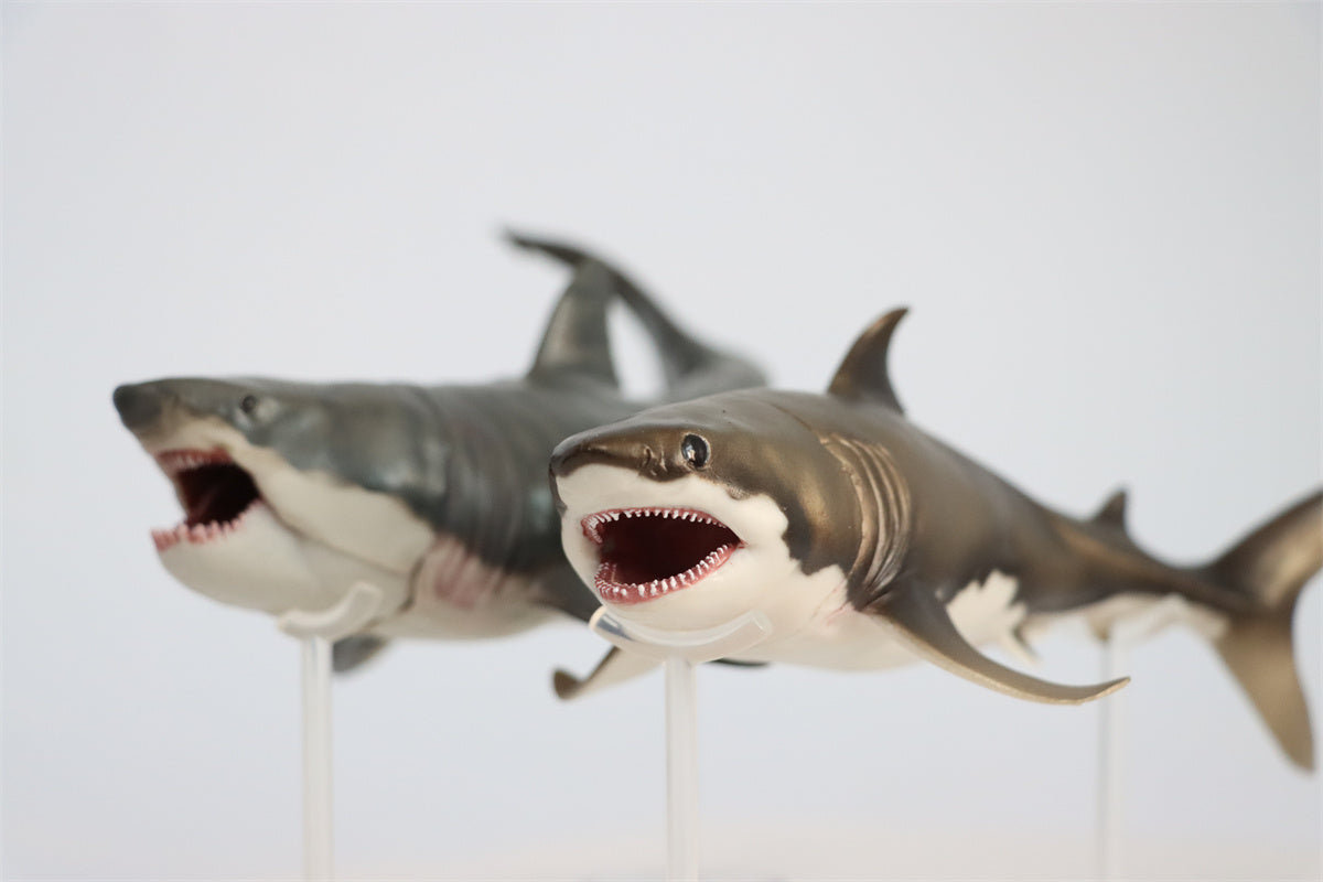 PNSO Cretoxyrhina Aidan Model