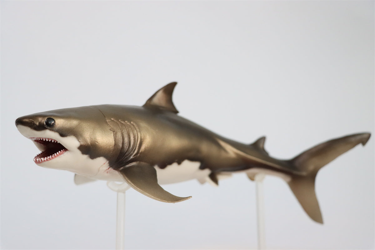 PNSO Cretoxyrhina Aidan Model