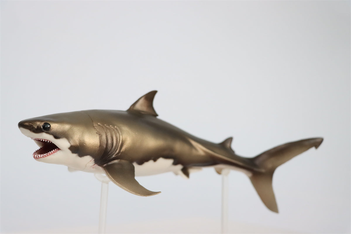 PNSO Cretoxyrhina Aidan Model