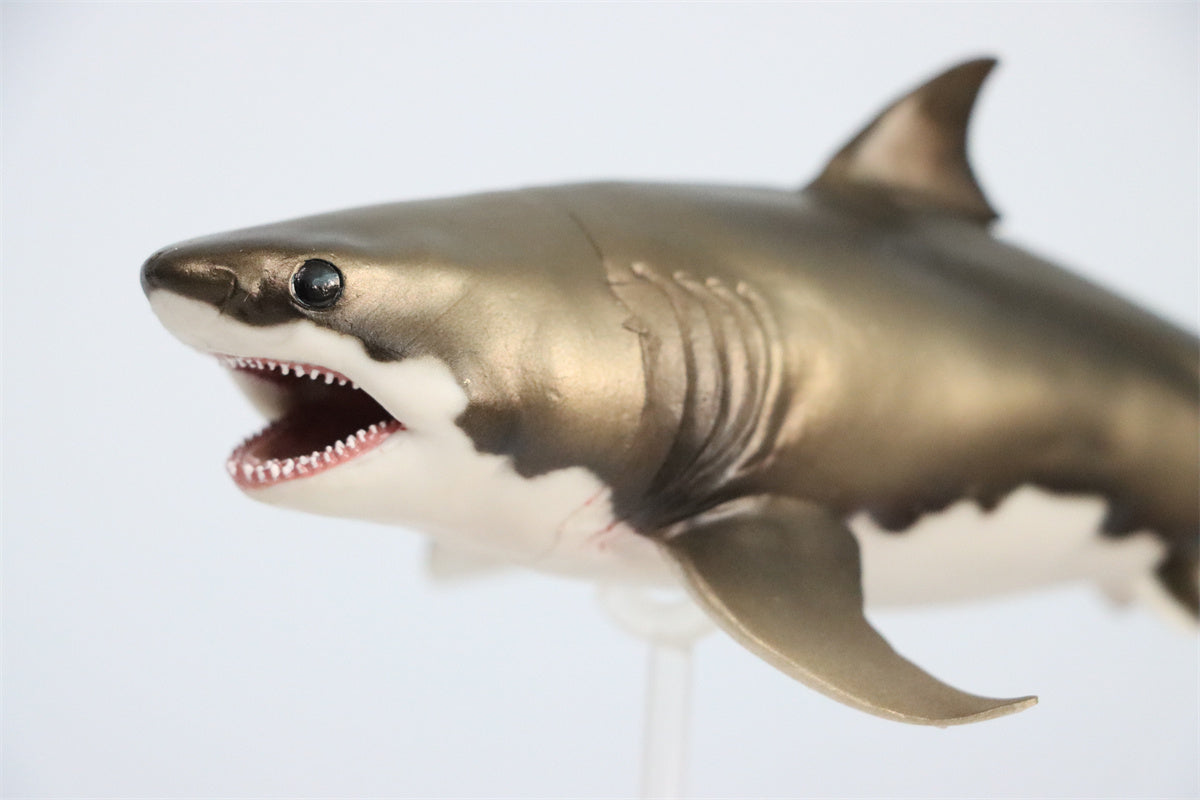 PNSO Cretoxyrhina Aidan Model