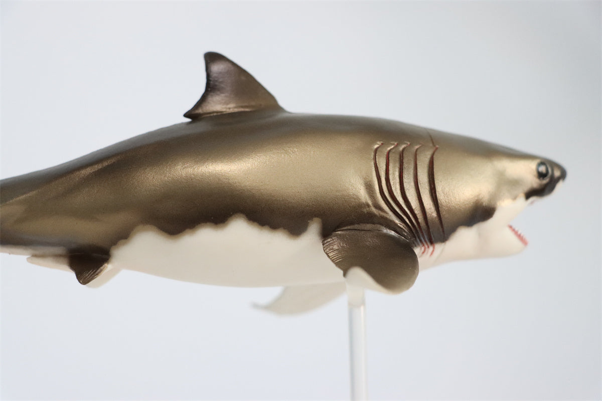 PNSO Cretoxyrhina Aidan Model