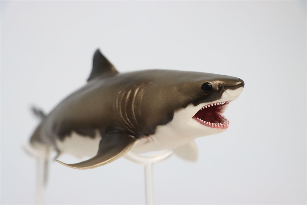 PNSO Cretoxyrhina Aidan Model