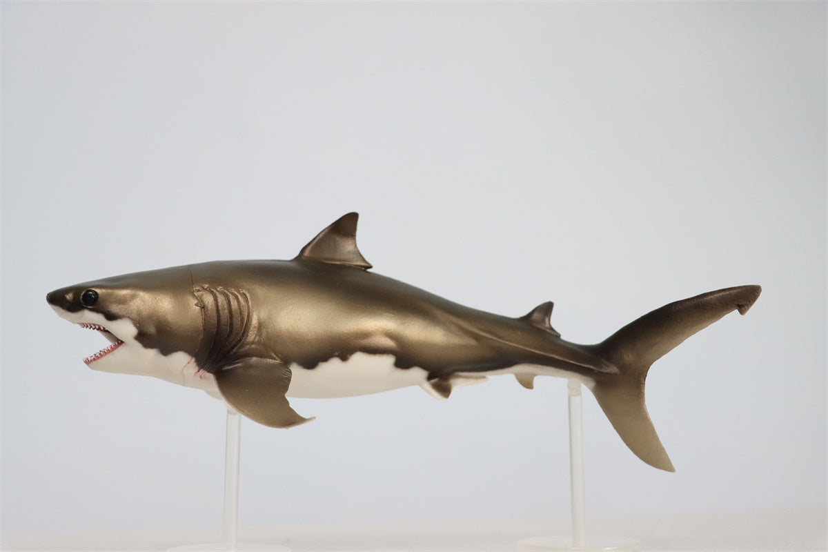 PNSO Cretoxyrhina Aidan Model