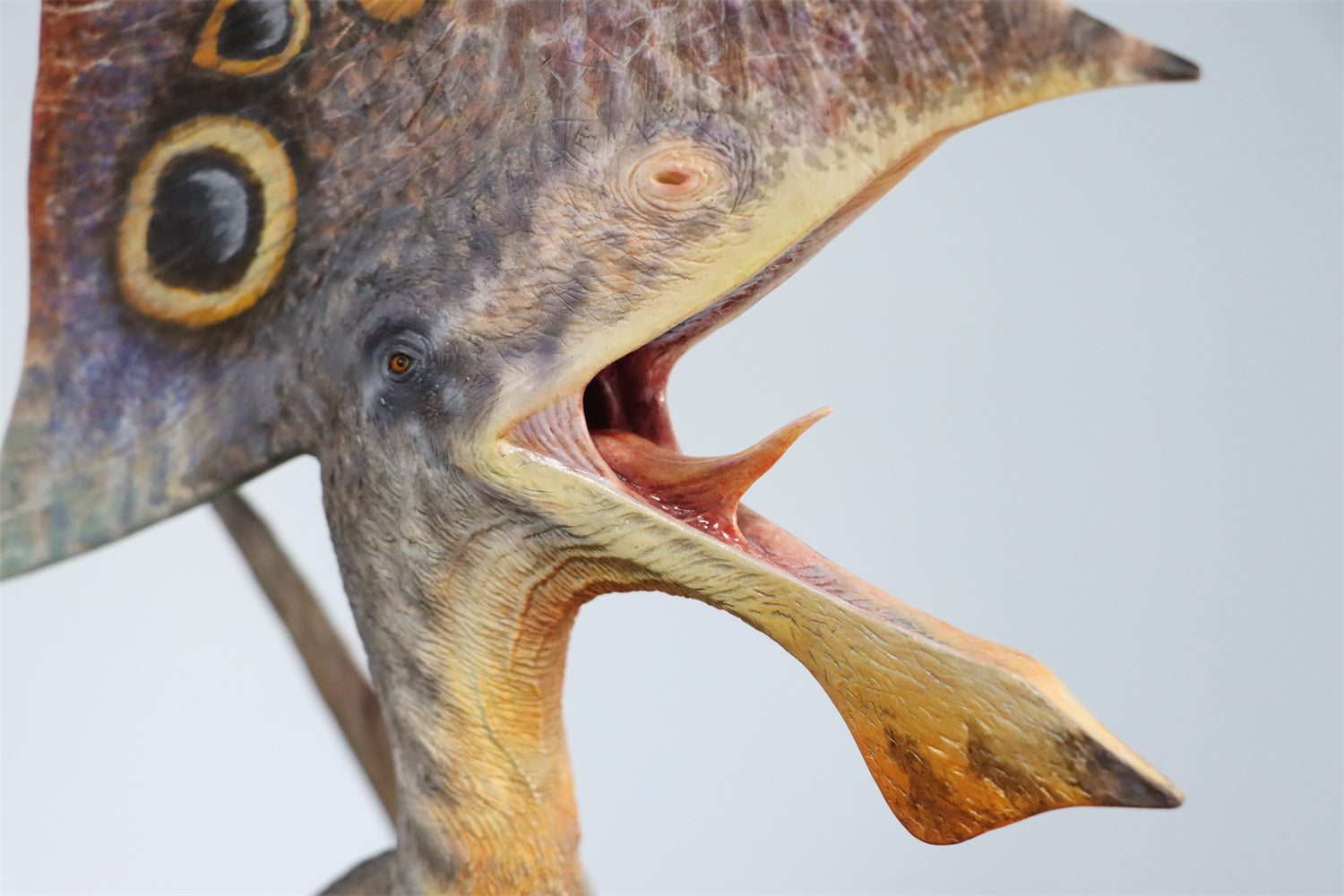 MuSee 1/6 Tupandactylus Statue Painted Version