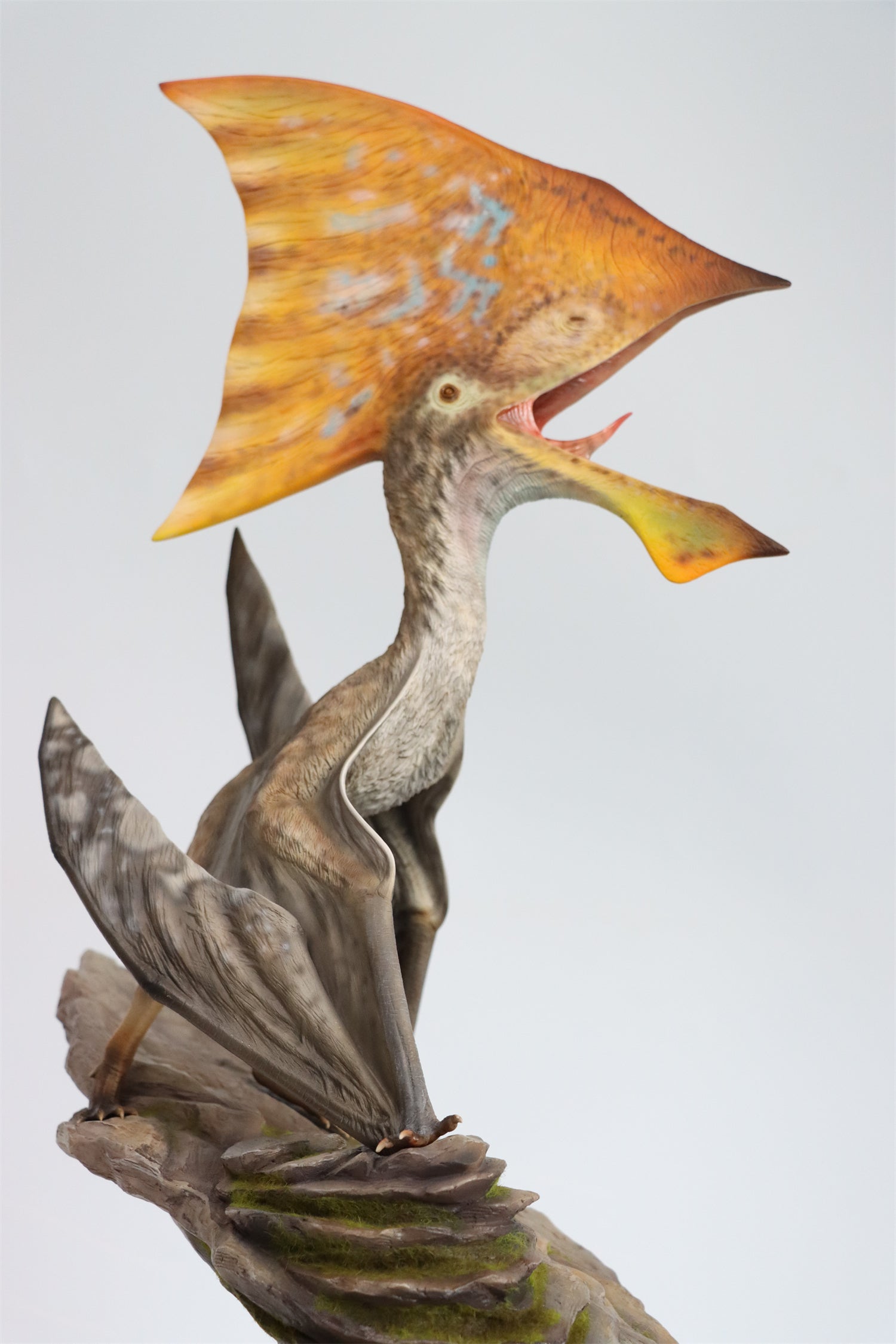 MuSee 1/6 Tupandactylus Statue Painted Version