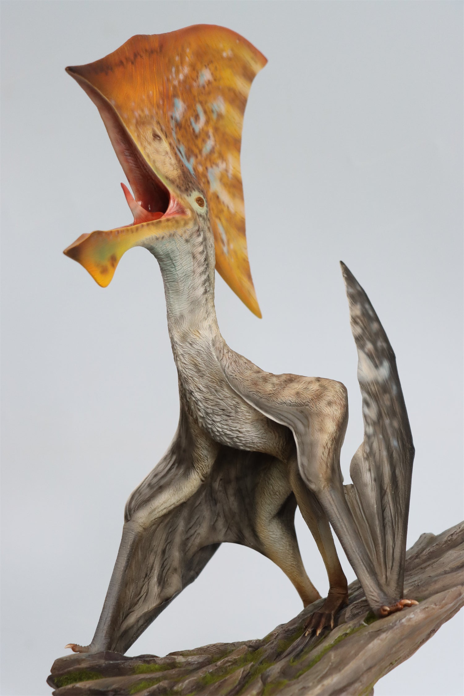 MuSee 1/6 Tupandactylus Statue Painted Version