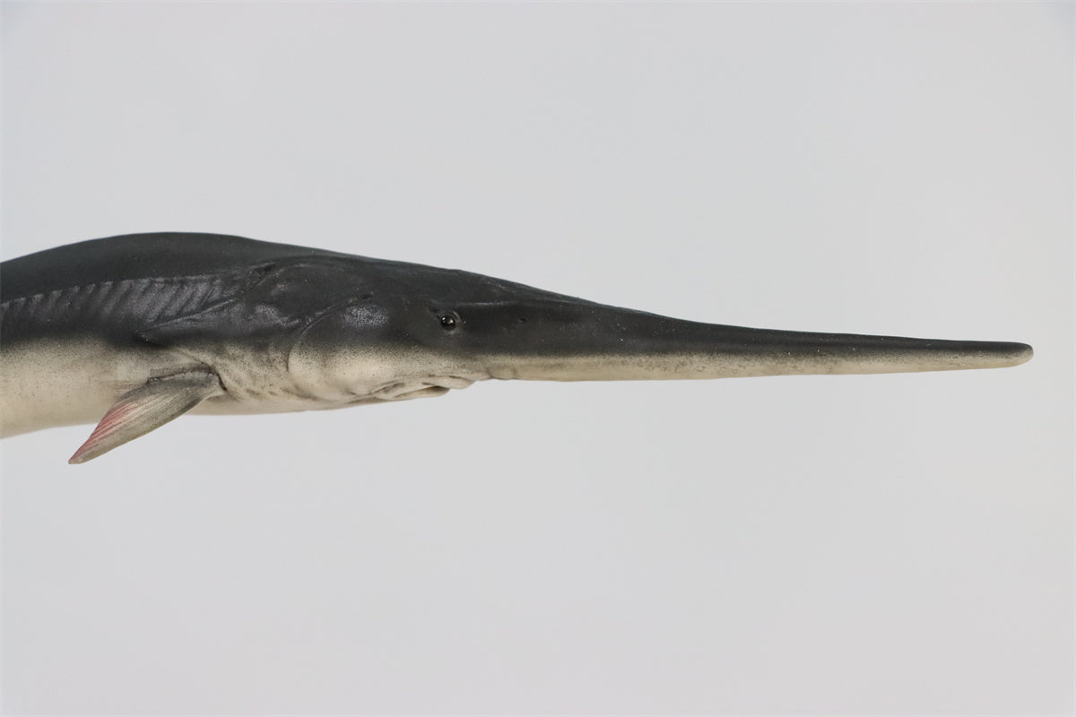 Memory Museum x Really Modeling 1/15 Paddlefish Statue
