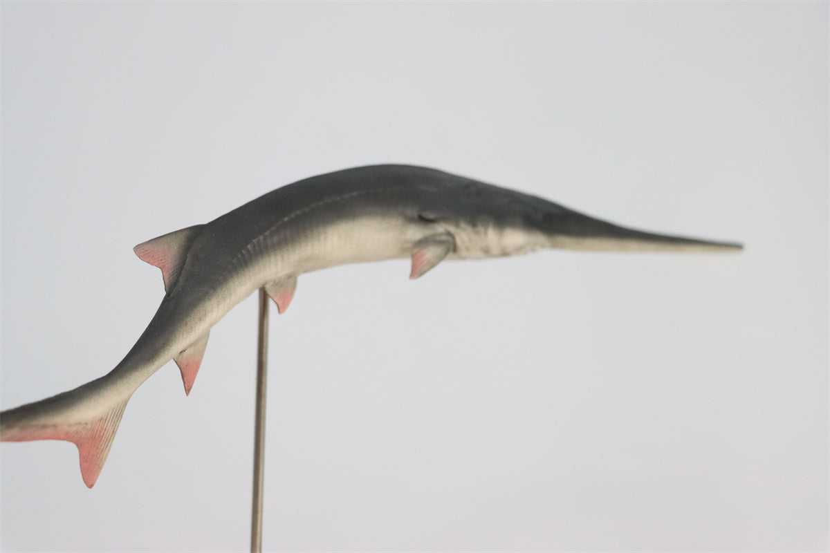 Memory Museum x Really Modeling 1/15 Paddlefish Statue