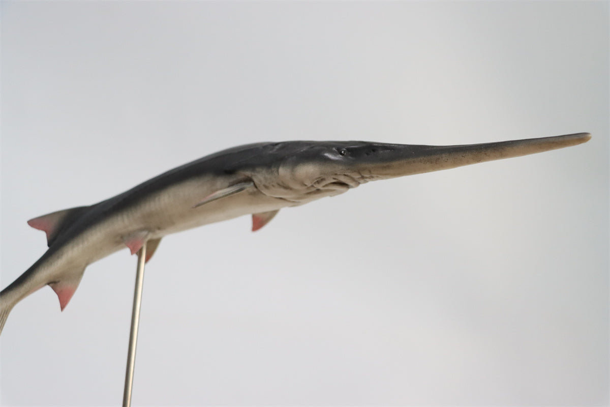 Memory Museum x Really Modeling 1/15 Paddlefish Statue